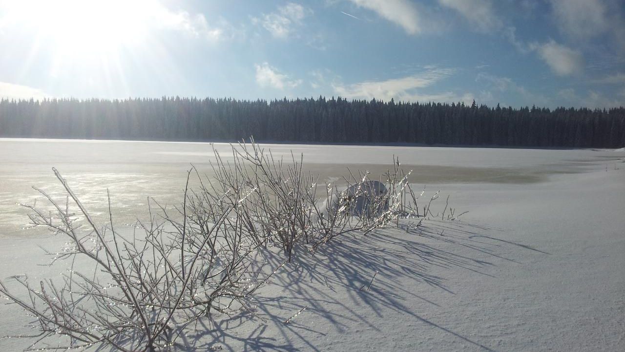 Westufer Talsperre Carlsfeld Westufer Talsperre Carlsfeld